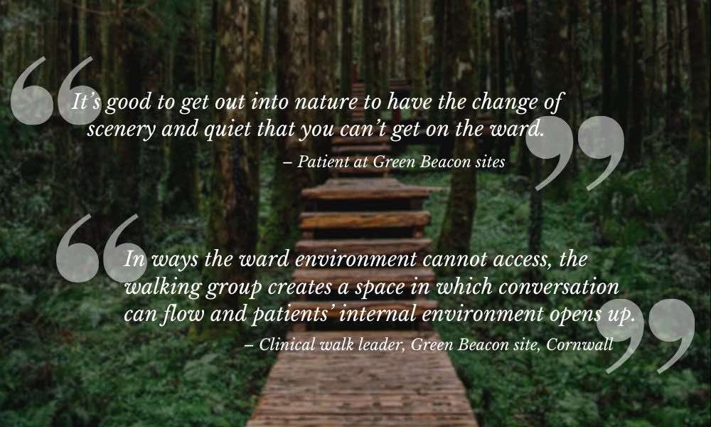 Quotes from Green Walking Groups