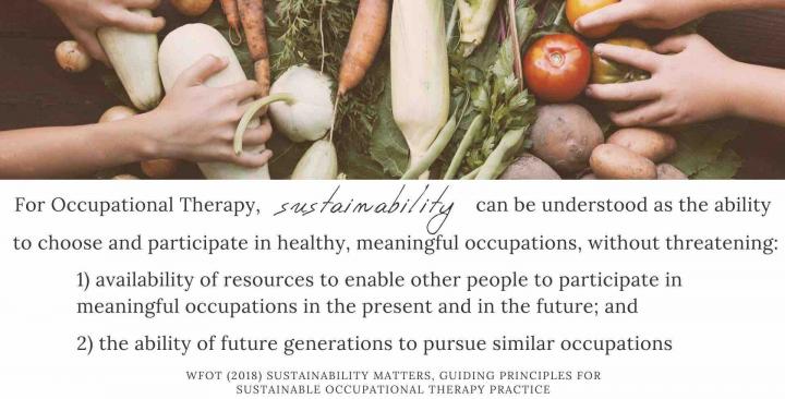 Sustainable Occupational Therapy definition